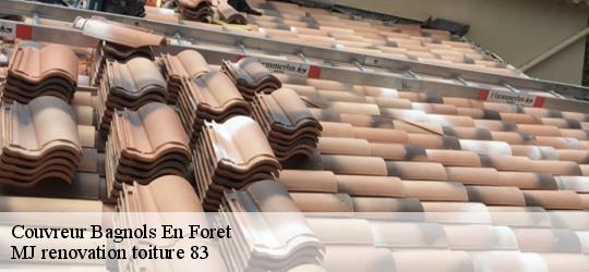 Couvreur  bagnols-en-foret-83600 MJ renovation toiture 83
