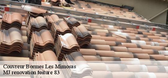 Couvreur  bormes-les-mimosas-83230 MJ renovation toiture 83