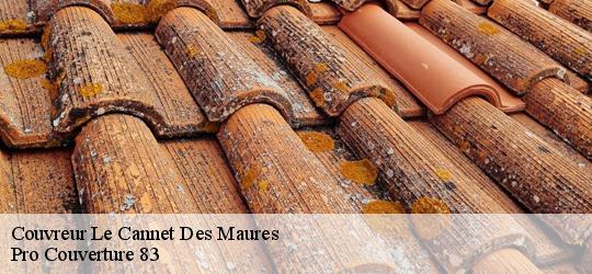 Couvreur le-cannet-des-maures-83340 Pro Couverture 83