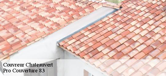 Couvreur chateauvert-83670 Pro Couverture 83