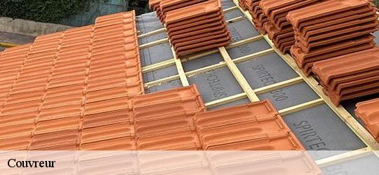 Couvreur 83570