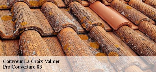 Couvreur la-croix-valmer-83420 Pro Couverture 83