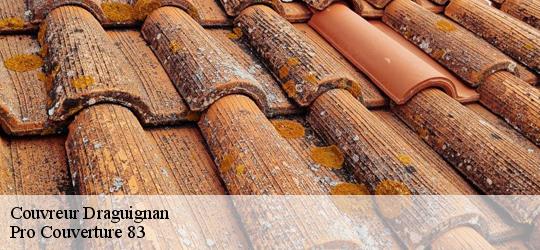 Couvreur draguignan-83300 Artisan Richard