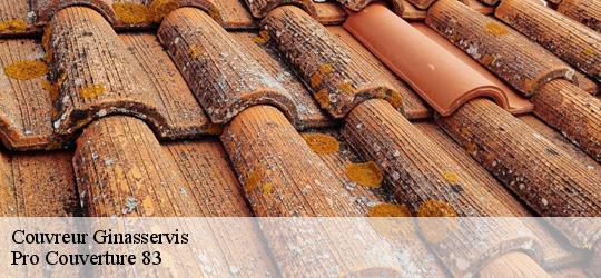 Couvreur ginasservis-83560 Pro Couverture 83