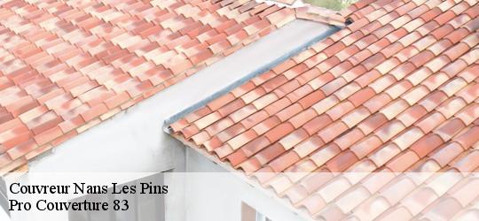 Couvreur nans-les-pins-83860 Pro Couverture 83