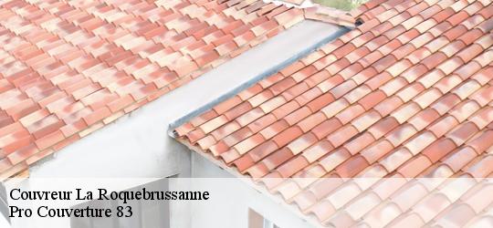 Couvreur la-roquebrussanne-83136 Pro Couverture 83