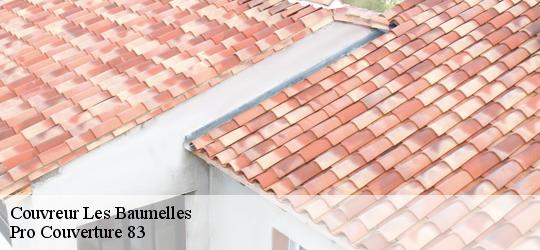 Couvreur  les-baumelles-83270 Pro Couverture 83