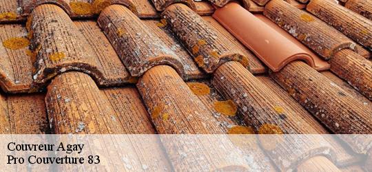 Couvreur  agay-83530 Pro Couverture 83