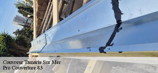 Couvreur 83500