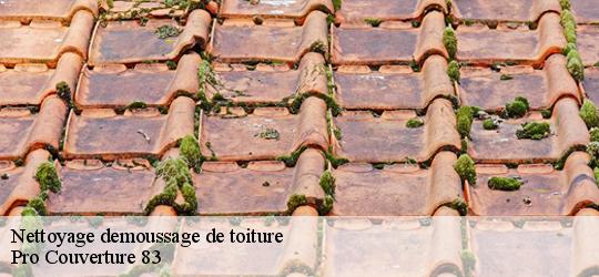 Nettoyage demoussage de toiture