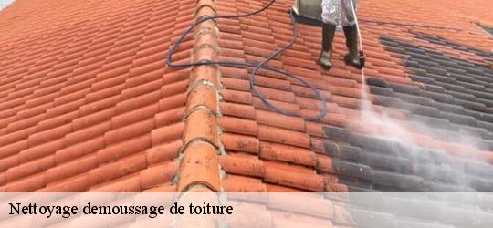 Nettoyage demoussage de toiture