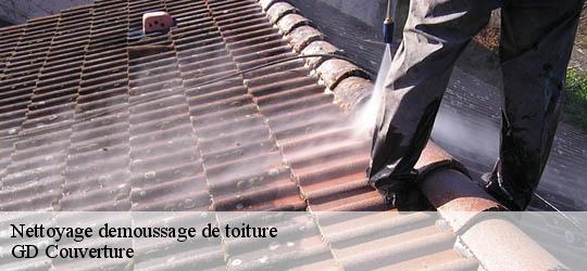 Nettoyage demoussage de toiture   GD Couverture