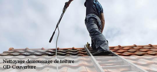 Nettoyage demoussage de toiture  