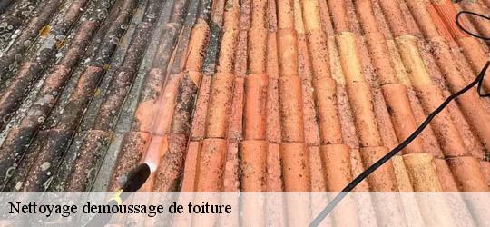Nettoyage demoussage de toiture  