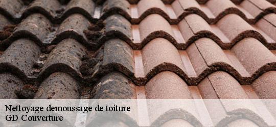 Nettoyage demoussage de toiture  