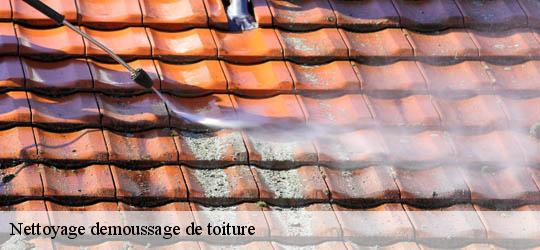 Nettoyage demoussage de toiture  