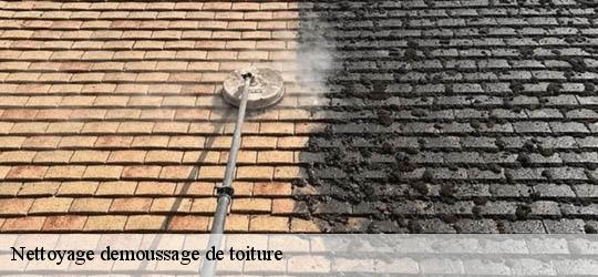 Nettoyage demoussage de toiture  