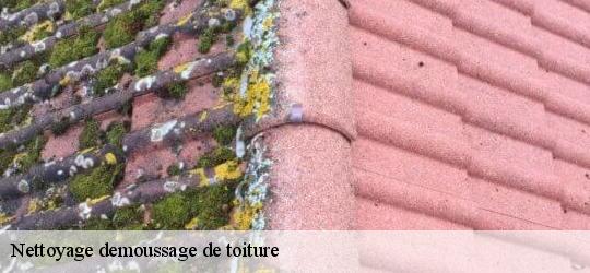 Nettoyage demoussage de toiture