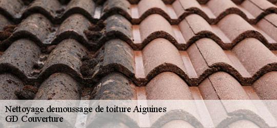 Nettoyage demoussage de toiture 83630