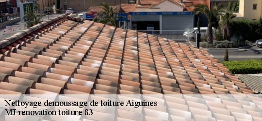 Nettoyage demoussage de toiture  aiguines-83630 MJ renovation toiture 83