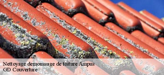 Nettoyage demoussage de toiture 83111