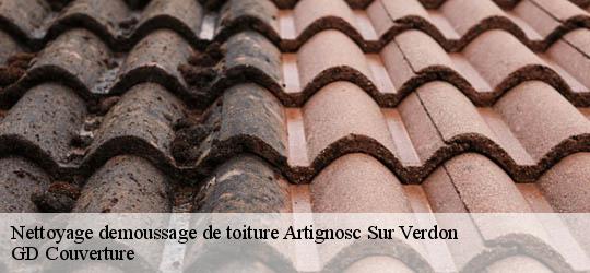 Nettoyage demoussage de toiture 83630