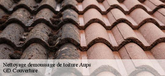 Nettoyage demoussage de toiture 83630
