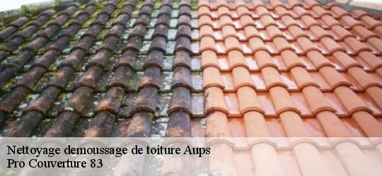 Nettoyage demoussage de toiture aups-83630 Pro Couverture 83
