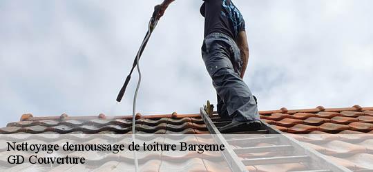 Nettoyage demoussage de toiture 83840