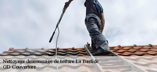 Nettoyage demoussage de toiture 83840