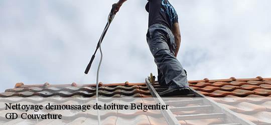 Nettoyage demoussage de toiture 83210