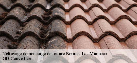 Nettoyage demoussage de toiture  83230