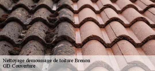 Nettoyage demoussage de toiture 83840