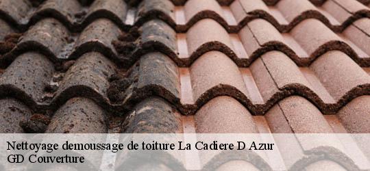 Nettoyage demoussage de toiture 83740