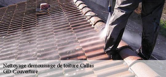 Nettoyage demoussage de toiture callas-83830 GD Couverture