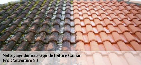 Nettoyage demoussage de toiture callian-83440 Pro Couverture 83