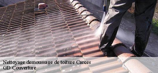 Nettoyage demoussage de toiture carces-83570 GD Couverture