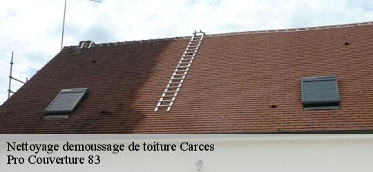 Nettoyage demoussage de toiture  carces-83570 Pro Couverture 83