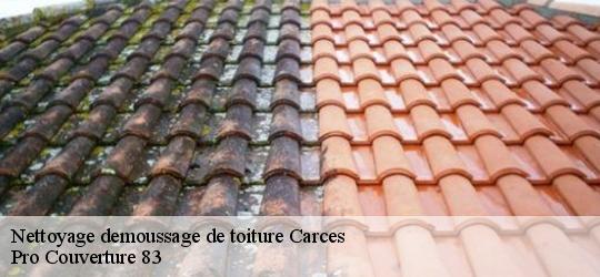 Nettoyage demoussage de toiture carces-83570 Pro Couverture 83