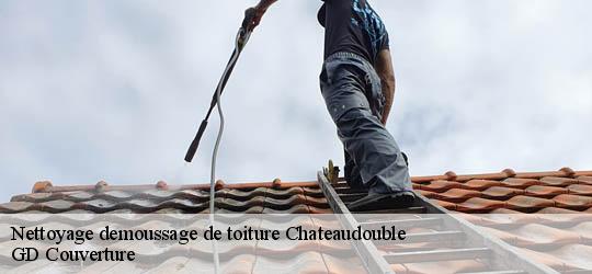 Nettoyage demoussage de toiture 83300
