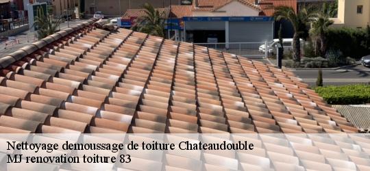 Nettoyage demoussage de toiture  chateaudouble-83300 MJ renovation toiture 83