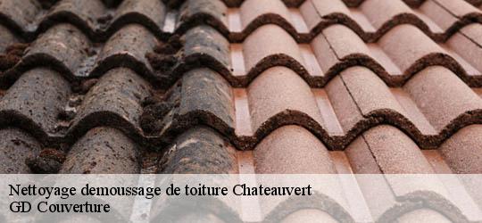 Nettoyage demoussage de toiture  83670