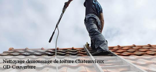 Nettoyage demoussage de toiture 83840