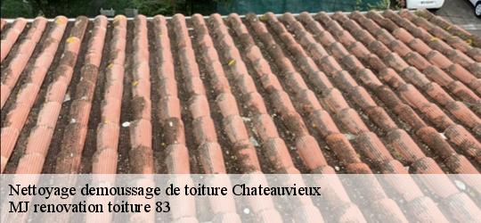 Nettoyage demoussage de toiture  chateauvieux-83840 MJ renovation toiture 83