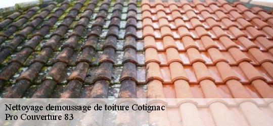 Nettoyage demoussage de toiture cotignac-83570 Pro Couverture 83