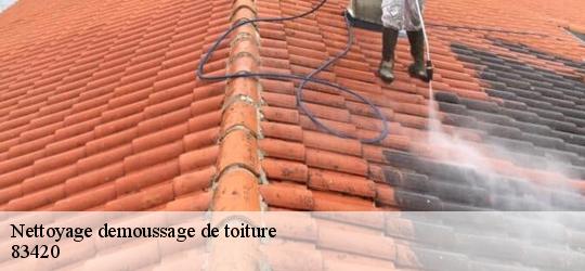 Nettoyage demoussage de toiture 83420