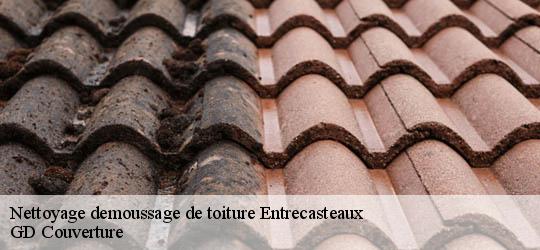 Nettoyage demoussage de toiture 83570