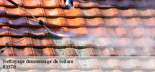 Nettoyage demoussage de toiture 83570