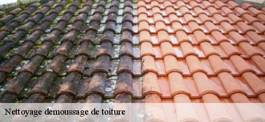Nettoyage demoussage de toiture 83570