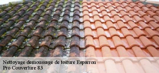 Nettoyage demoussage de toiture esparron-83560 Pro Couverture 83